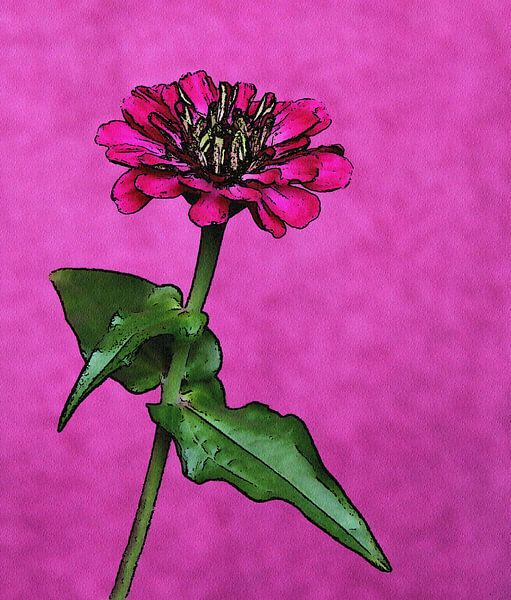 Blüte mit Blütenstruktur. von Jose Lok