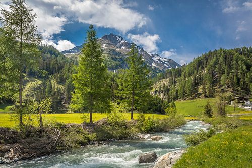 Kalserbach in het dal van Dorfer Tal bij de ingang van de Daberklamm, Kals am Großglockner