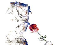 Flower. Smelling a rose. Modern and abstract. White background.