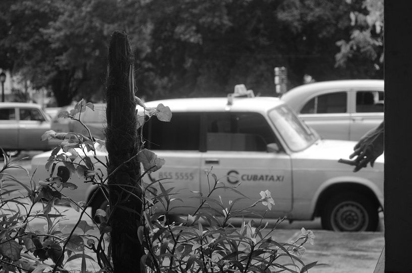 Cubataxi van Dorien Bot