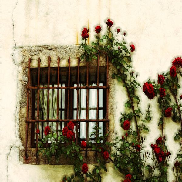 Summer Roses by Lucia