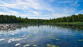 Lake in Sweden with water lilies, white clouds, blue water and trees on the shore by Martin Köbsch