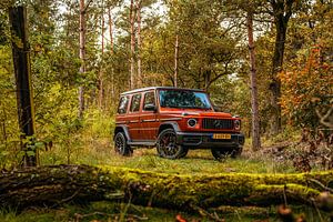 Mercedes-AMG G63 sur Bas Fransen