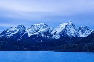 Mountains and rocks in winter on the Lofoten Islands in Norway by Rico Ködder thumbnail
