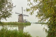 Kinderdijk Verlichtingsweek 2020 van Ad Jekel thumbnail