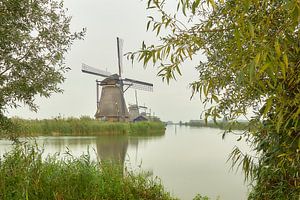 Semaine de l'éclairage de Kinderdijk 2020