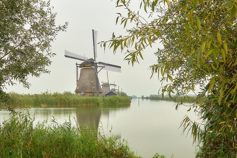 Kinderdijk Verlichtingsweek 2020 van Ad Jekel