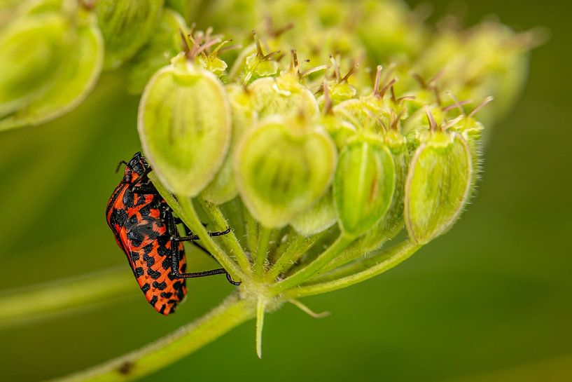 You can't avoid me by Louis Takes Pictures