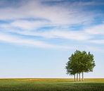 One-two-tree-four by Boogartphotographics thumbnail