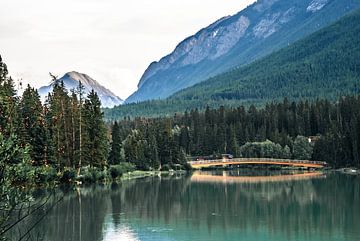 Brücke in den Rocky Mountains von Marc Lehmann