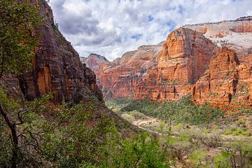 Zion National Park 2 van Heleen Pennings