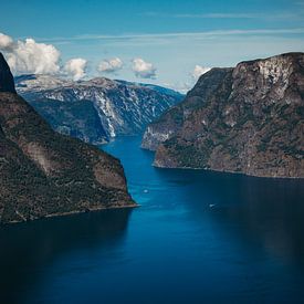 Fjorden in Noorwegen van Meral Soydas