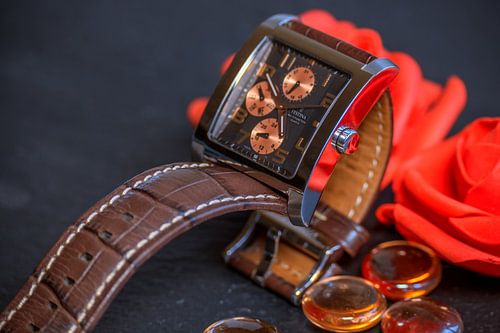 PHOTOGRAPHIE DE MONTRE : FESTINA MODEL F 16235