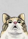 Scared Cat Meme by Adam Khabibi thumbnail