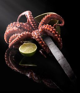 Oktopus kochen