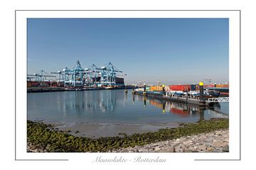 Maasvlakte Rotterdamer Hafengebiet von Richard Wareham