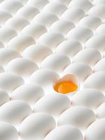 White eggs, lying on their sides, one opened