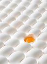 Witte eieren, waarvan er eentje open is van BeeldigBeeld Food & Lifestyle thumbnail