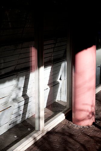 Nature morte réelle rose, ombre et lumière amour