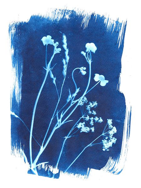 Wildblumen in Blau von Karin van der Vegt