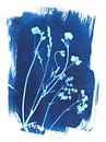 Wildblumen in Blau von Karin van der Vegt Miniaturansicht