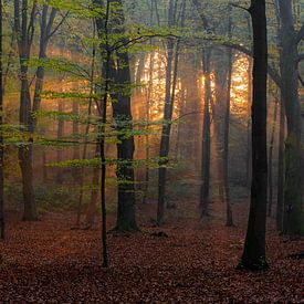 Sonnenaufgang von Mariëlle Weijsenfeld