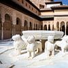 Der Hof der Löwen, Granada, Alhambra, Spanien von Fotografiecor .nl