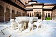 The Court of Lions, Granada, Alhambra, Spain by Fotografiecor .nl thumbnail