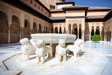 Het hof van de leeuwen, Granada, Alhambra, Spanje van Fotografiecor .nl