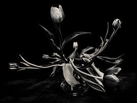 Tulpen von Els Baltjes