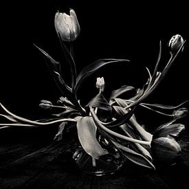 Tulpen von Els Baltjes