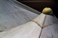 Parasol