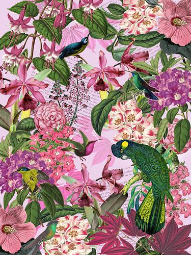 De groene kaketoe en zijn vrienden, versie 2