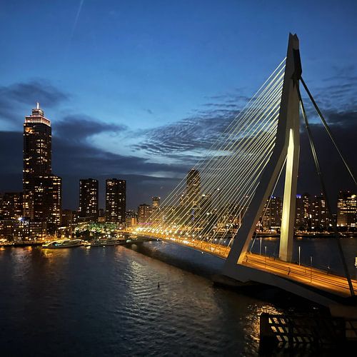 Erasmusbrug bij avondlicht