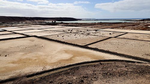 Salinas de Janubio