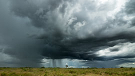 Dramatische Gewitterwolken und eine Regenwand über der afrikanischen Landschaft von Johannes Jongsma