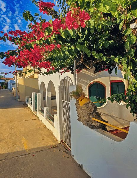 Bougainvilliers en fleurs et charme côtier, Armona Island Village Photography par Hecate Pim