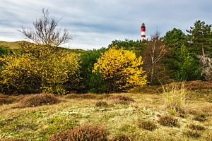 Landscape with lighthouse on the North Sea island Amrum, Germany sur Rico Ködder
