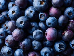 Blaubeeren in sattem Ultramarin