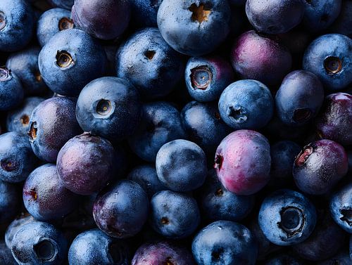 Blueberries in rich ultramarine