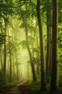 The green mile van Martin Podt