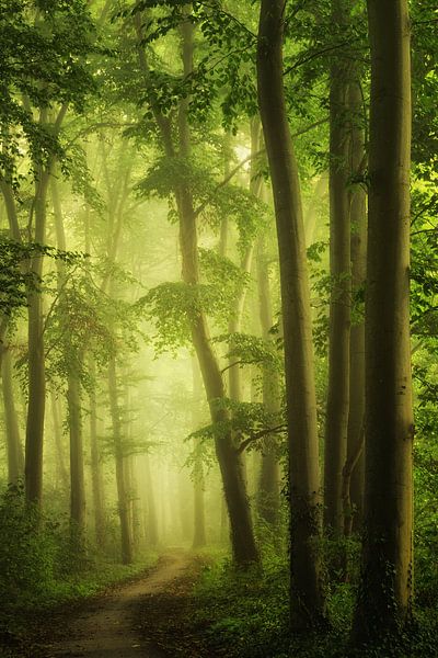 The green mile by Martin Podt
