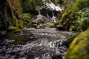 Kleiner Wasserfall im Wald mit Moos auf Steinen