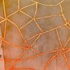 Moderne natuur Abstract met een surrealistische geometrische look van Mad Dog Art