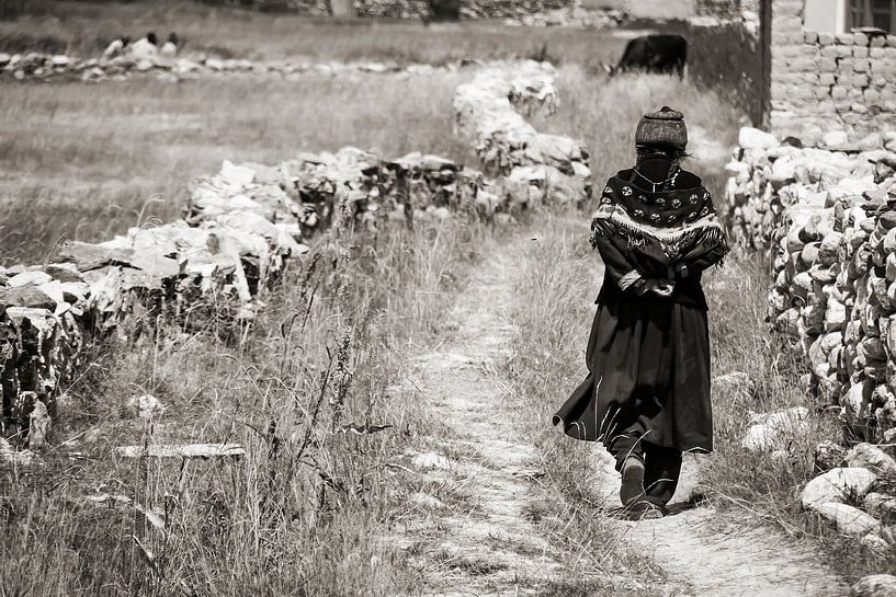 Traditionelle ladakhische Frau geht zu den Feldern außerhalb Padums von Affect Fotografie