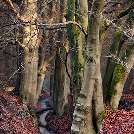 Stille auf dem Spreng von Saranda in t Veld Fotografie