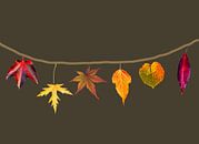 Six feuilles aux couleurs de l'automne. par Digital Art Studio Aperçu