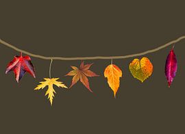 Six leaves in fall color. by Digital Art Studio