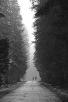 Walkers in the fog