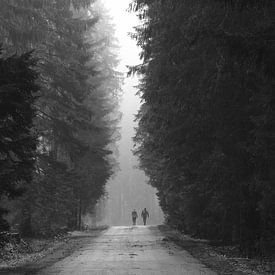 Wandelaars in de mist van Elisa Sánchez Correa